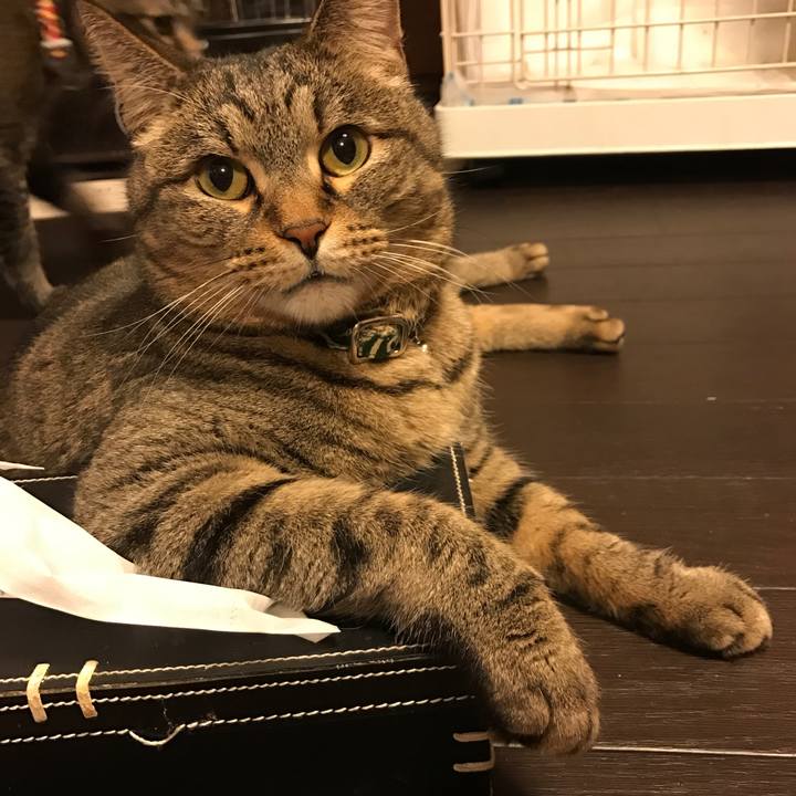 E59100c5 0130 497a bc9b b68316168ed8