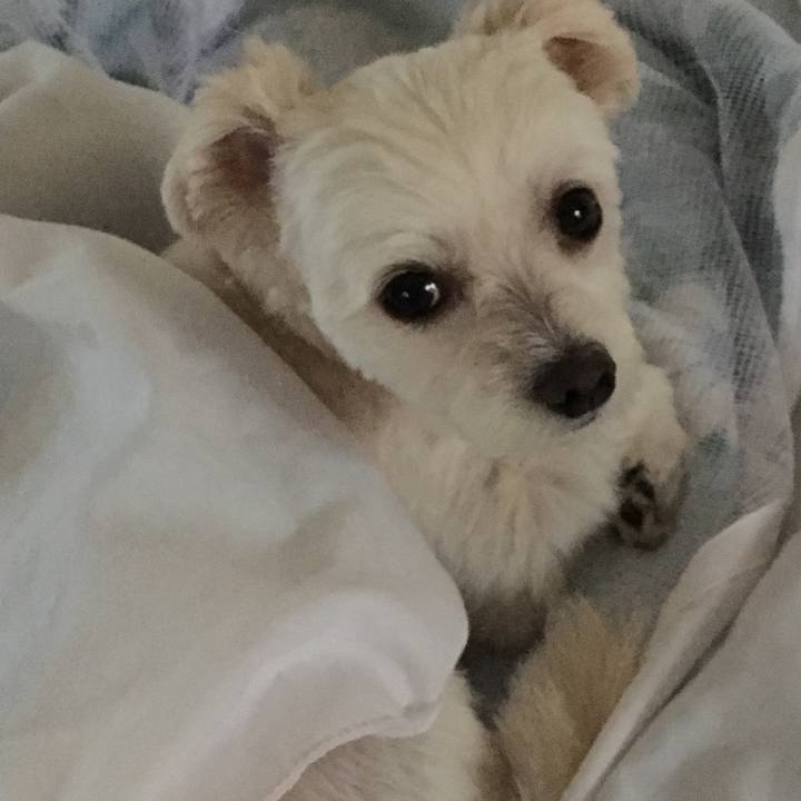 E591cc7b 676c 4c04 8d04 2140100609b1