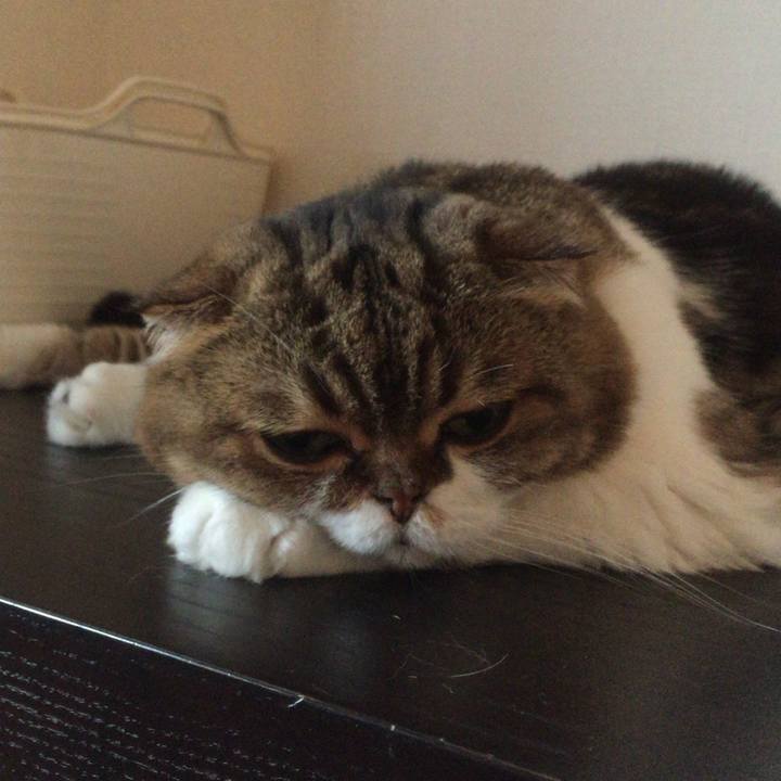 E5925720 3525 43c8 a72a 8e537fe5dcd7