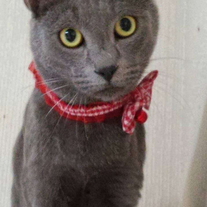 E592be90 cf4f 4fbf a048 95acdcc1b737