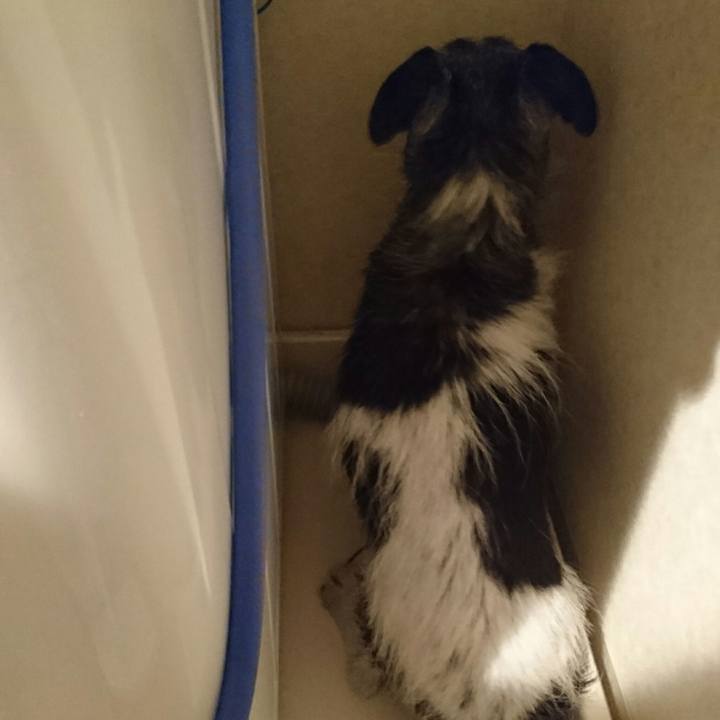 E592dceb 631b 4378 9374 1572ca9a9ed0