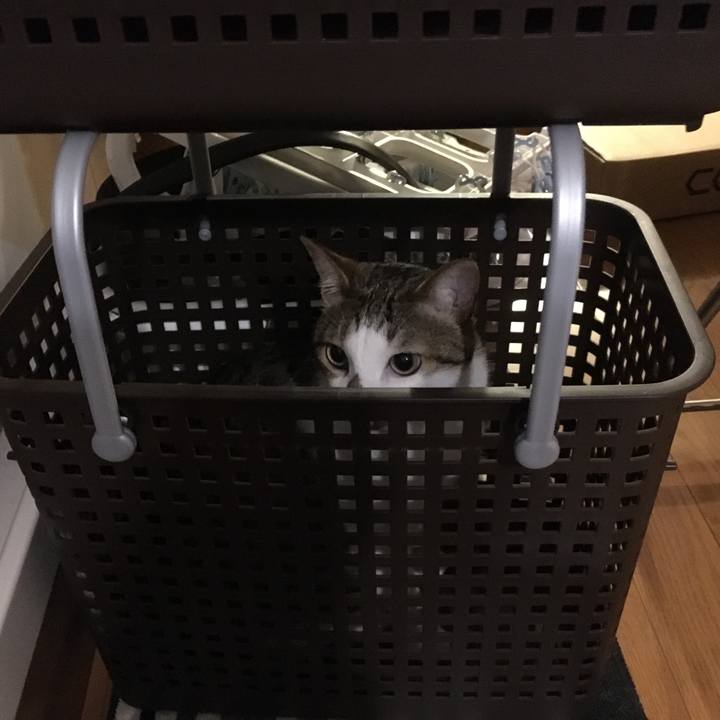 E5934a9b 9045 4a3a a677 b6e43088437c