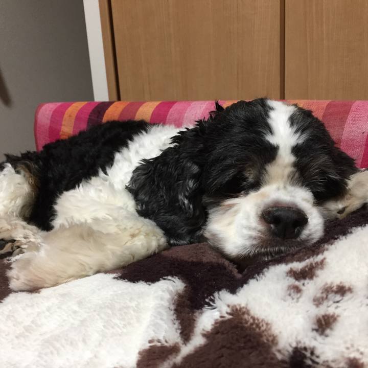 E5940236 614a 4804 8079 206cc10362f7