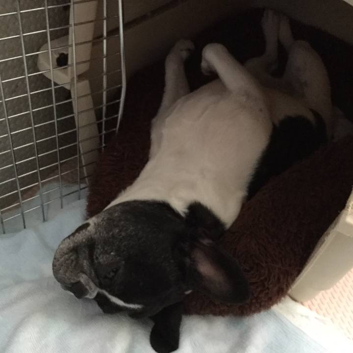 E5940cba 540e 4c78 914a ae9b7aba7d40