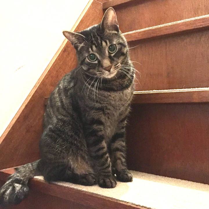 E5941240 7369 481a aa5d cbf76e9aebe5