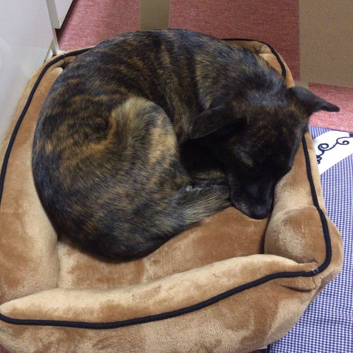 E5943748 1431 4a20 8884 a0383a371f9d