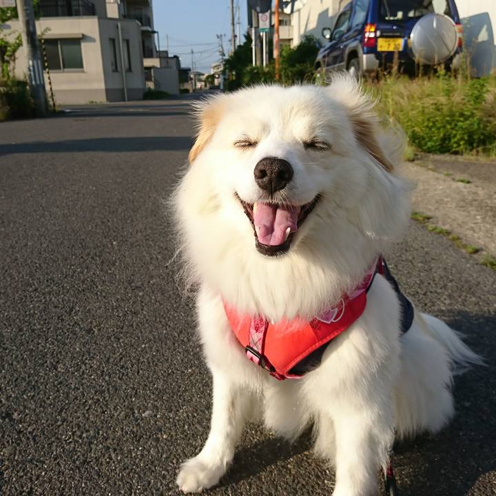 E59447ac bea5 4188 9c39 8d1ebbb4ad65