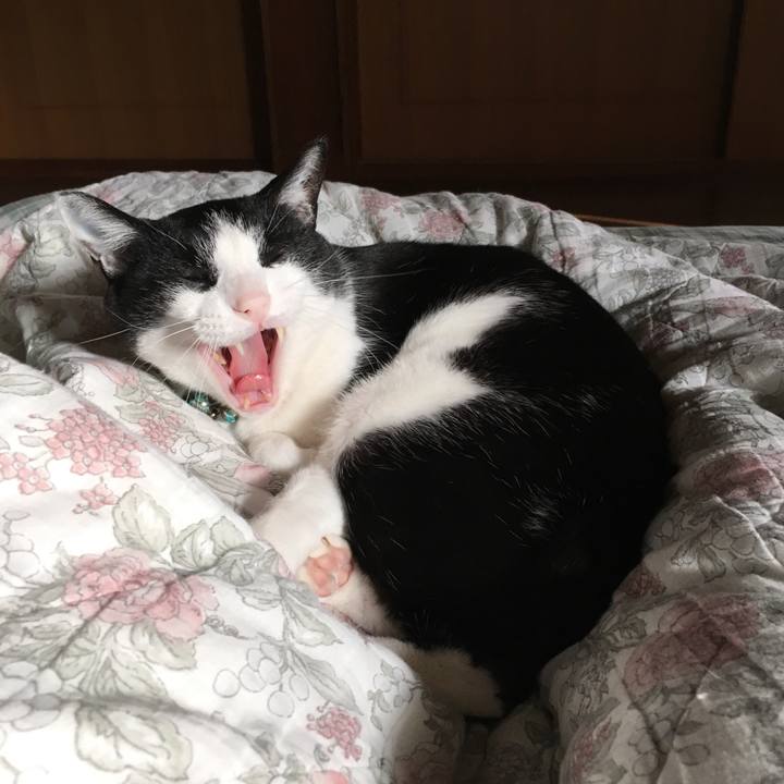 E5948ff1 3a1c 48c0 9691 f18ffa07fd4f