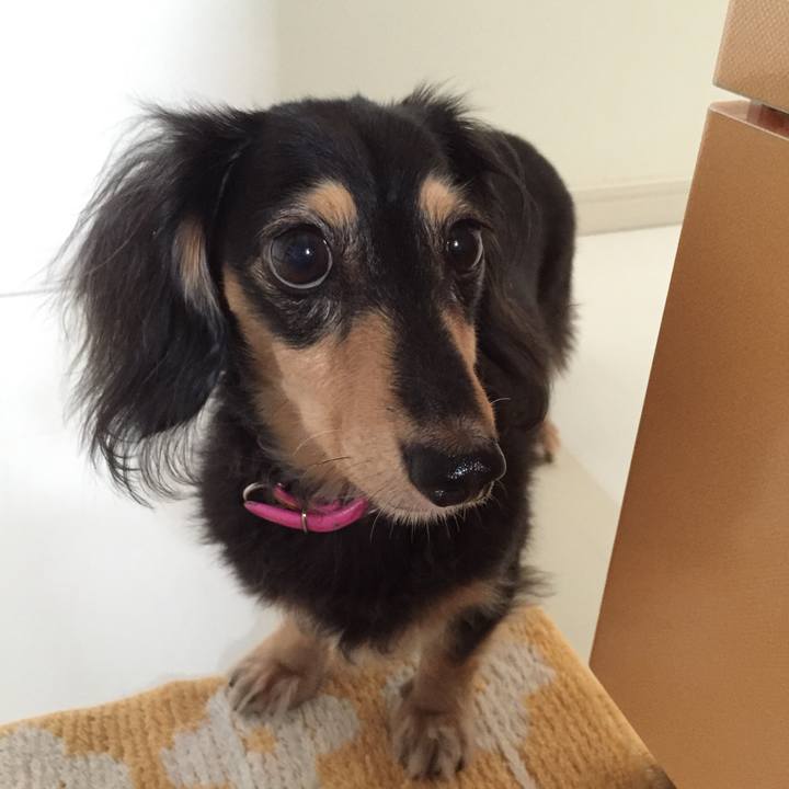 E595d2a2 c171 445b 8367 ee3b3098ab18