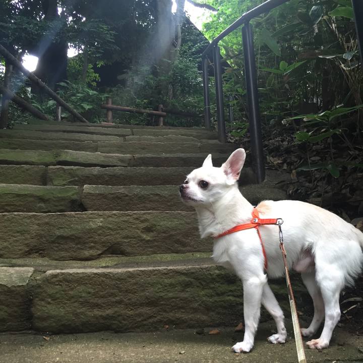 E596630e c0de 4ec3 a222 3c10d2cc0de5