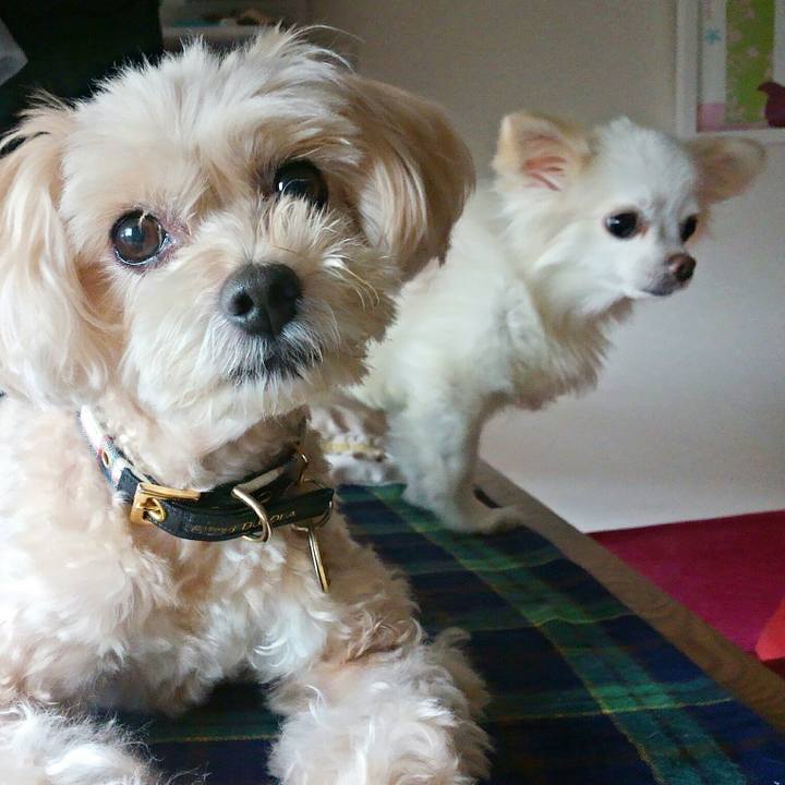 E5967a0b c910 449b 821b 729ce05b4df3