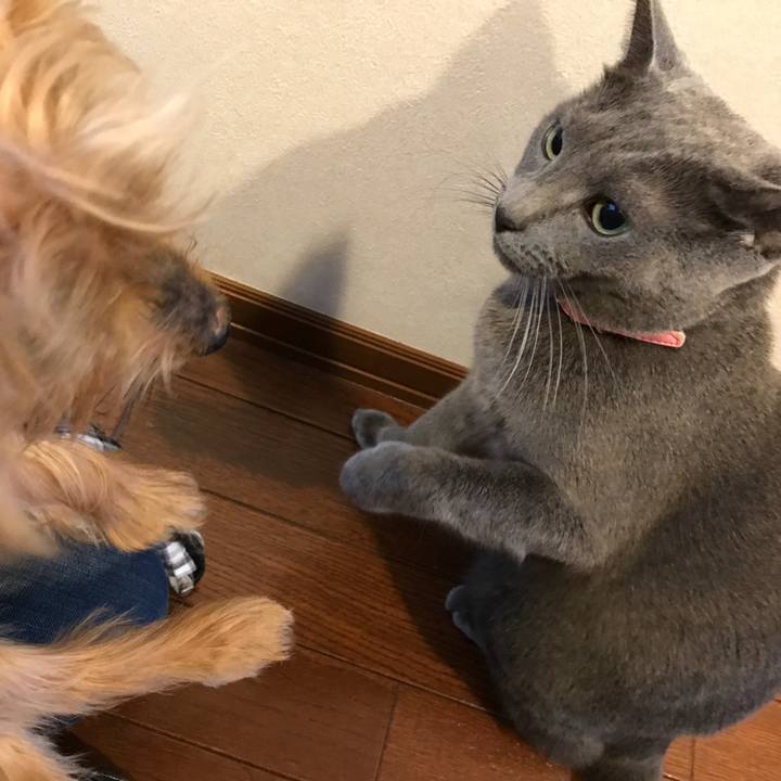 E596b196 dee9 4bfd ad00 a0fd0ab7d2b0