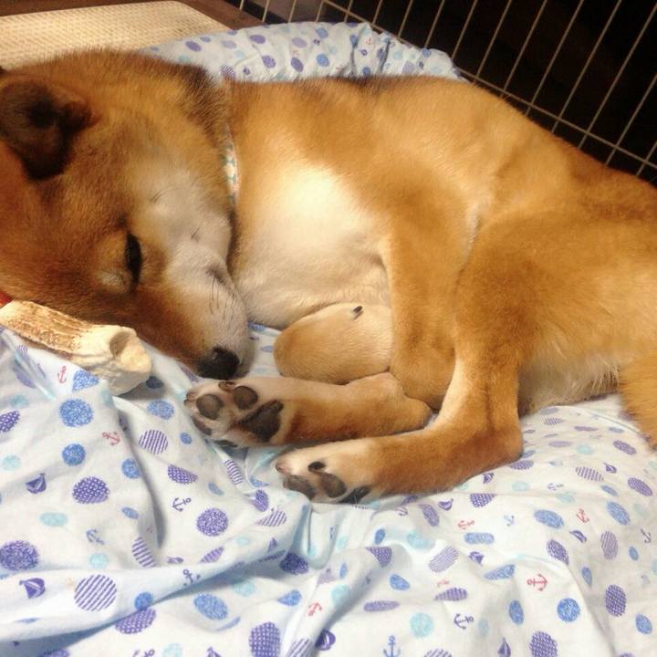 E596d208 c646 4a48 9c9b 7940ea18eb99