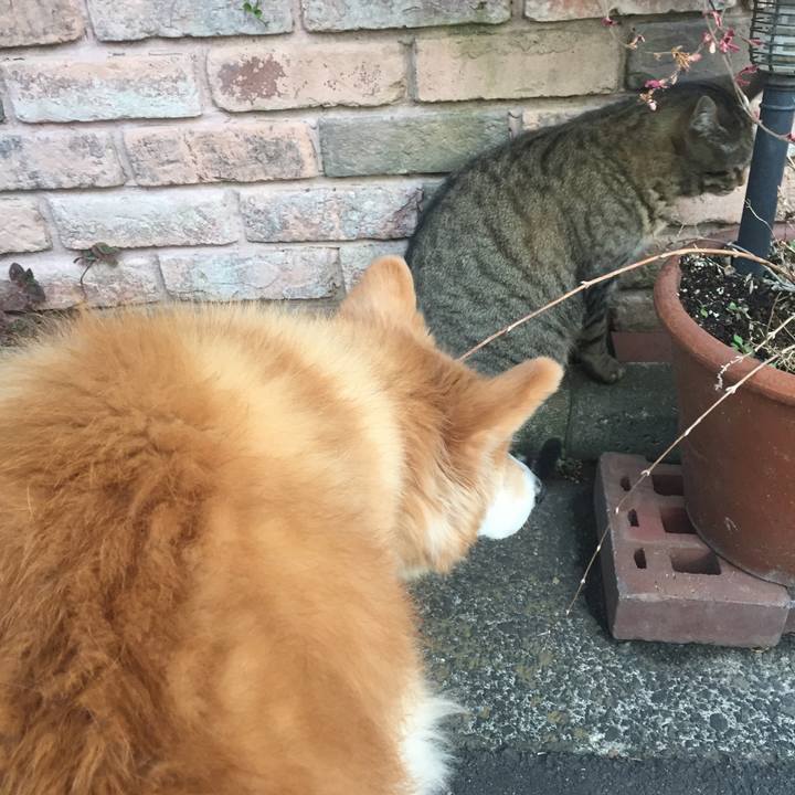 E597cd50 2f6b 4f0a a476 686742de944e