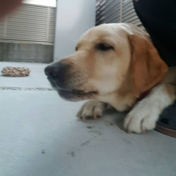 E5981d24 3c4e 4b47 bf0a 3e6eb6e63744