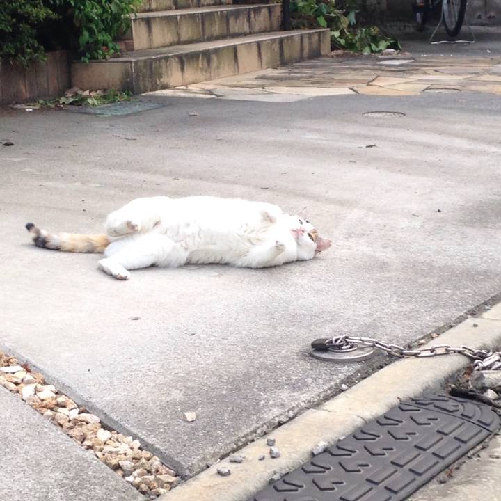 E5983244 ea45 4b36 86ff 8fd520c9e2a3