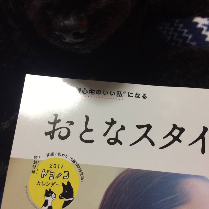 E598a4e3 27ff 4087 a0f3 b0d1e6261b7c