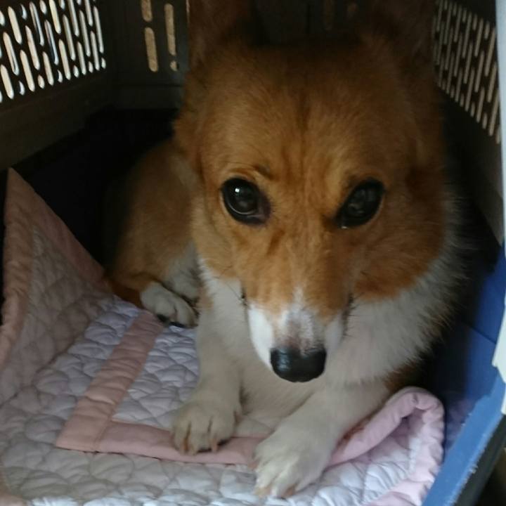 E598a6eb b8b0 4633 884a 314ba526818b