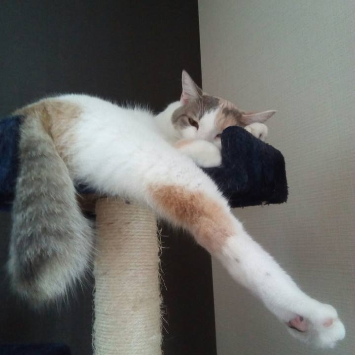 E599082e 7ef6 4cee 8e3d a7587d9e9a5f