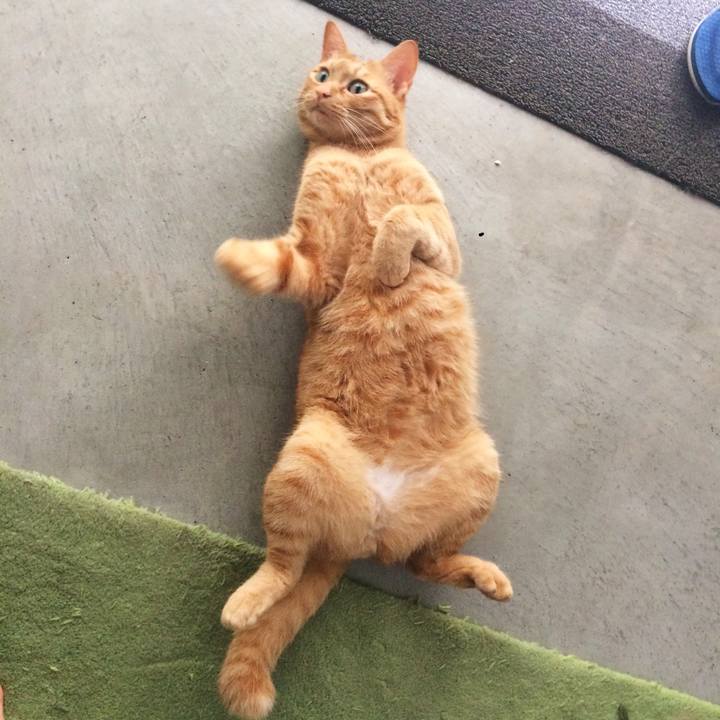 E59a7bd1 b19d 441c a915 f93ddeb2357d