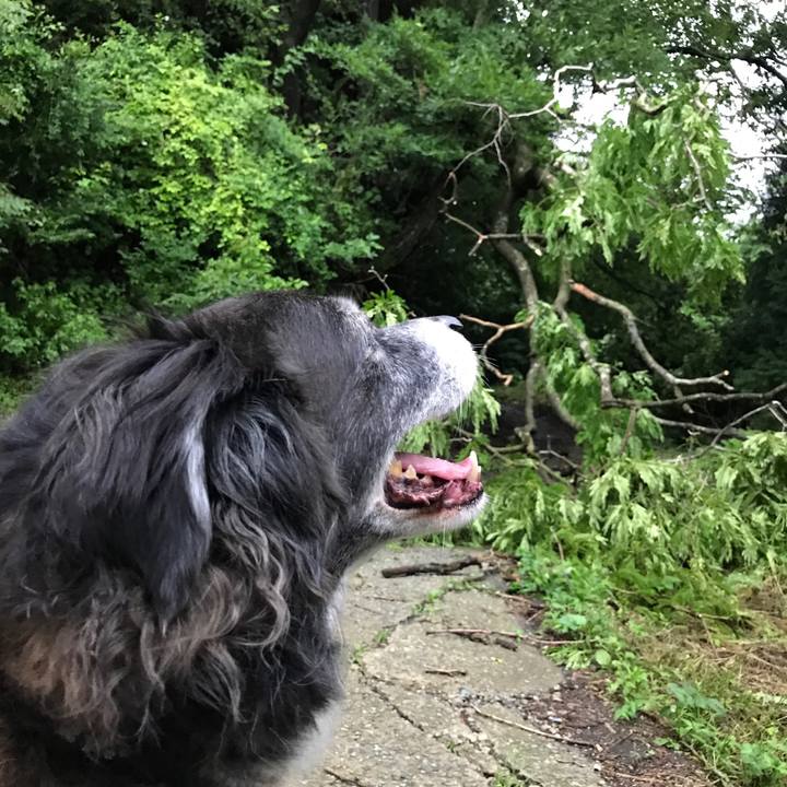 E59aa9f7 b769 4cac 9fd3 60055f364f27