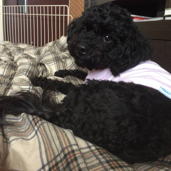 E59c2d37 ac43 4b02 92b4 c6ee1fc25642