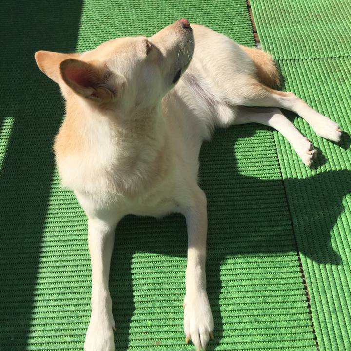 E59d818d 6d65 4f08 938c ac48951a9127