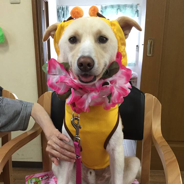 E59dc45e f77b 4852 a7e1 37ce762770de