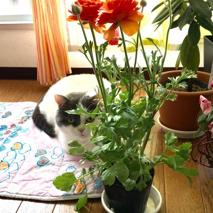 E59f119f dd43 4cb0 9426 fd89ff3ea477