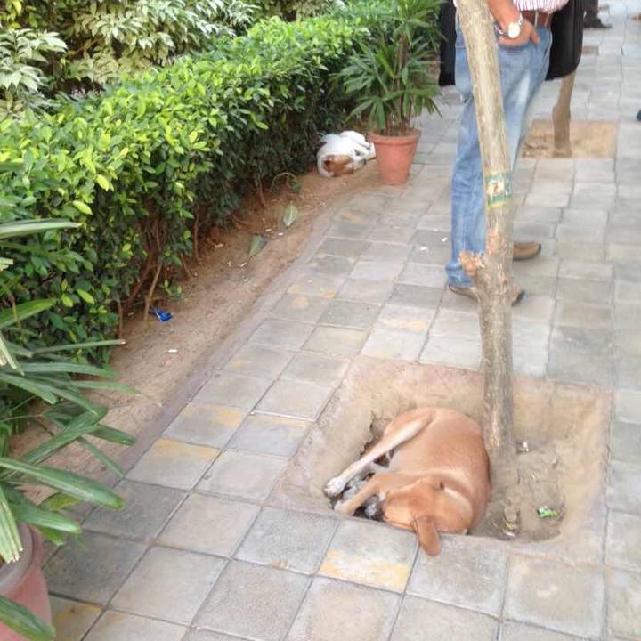 E59f5d9c 00ba 4fa0 82d3 c51ab1307a85