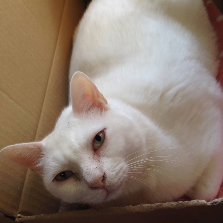 E59fed6c 2d98 4d8a 84a0 c1b82a9d6f16