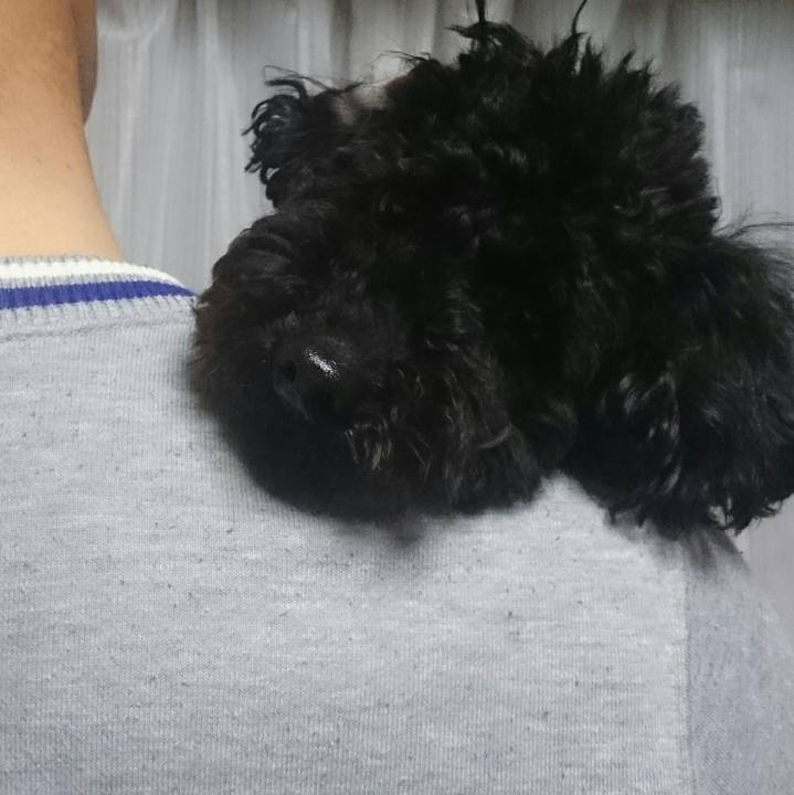 E5a010ca a4c5 4a9e 8fc4 7c5ef4b4c8b5