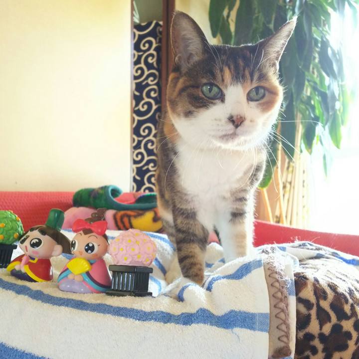 E5a06cc2 c6f5 44af 8b5f aec418e62082