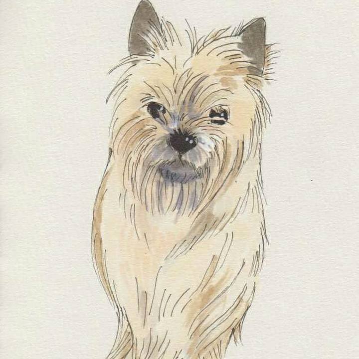 E5a0ae00 2598 450c a5b4 19e64f7b9b6d