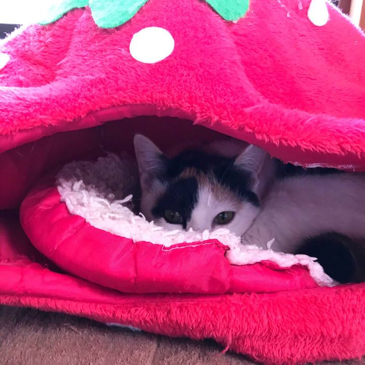 E5a0b5be 0564 459f aa0c d024753143ce