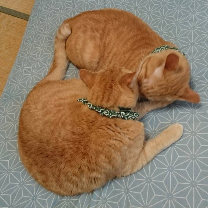 E5a10cd5 79a7 48d7 8c50 dea60f9921fd