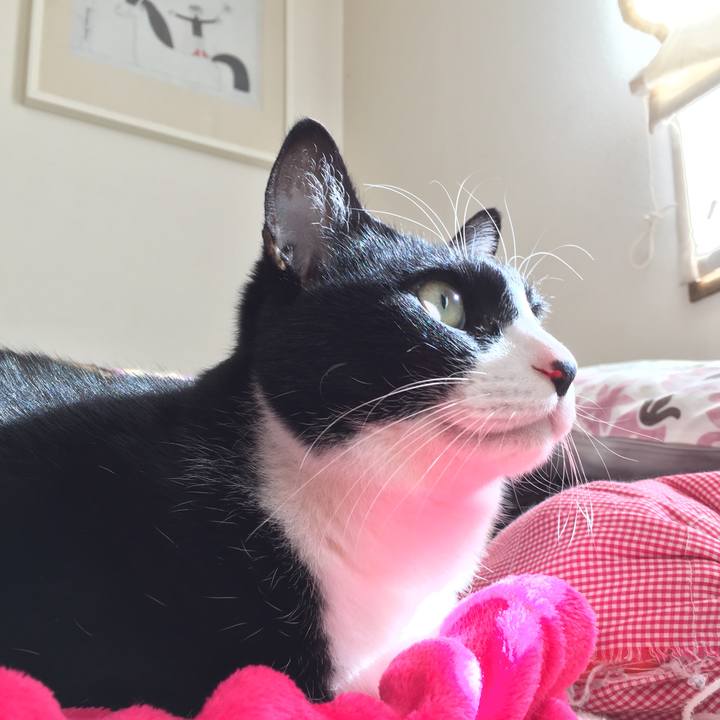 E5a1270e 4995 428a 8ea3 47f388b29a96