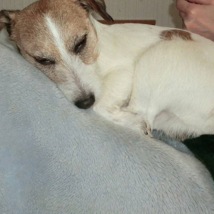 E5a15846 1a27 42c7 b862 71fadb177c02