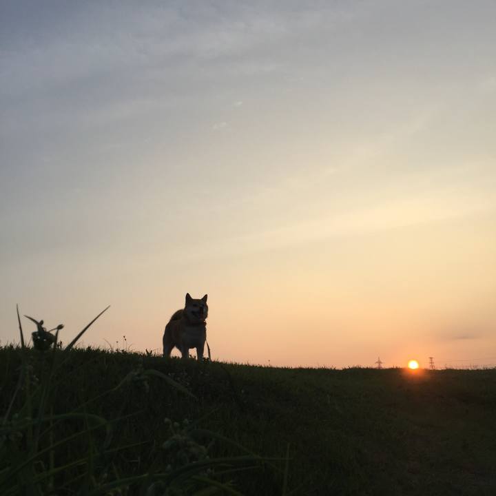 E5a18eb0 9a87 44d9 93da e99a5906e1c0