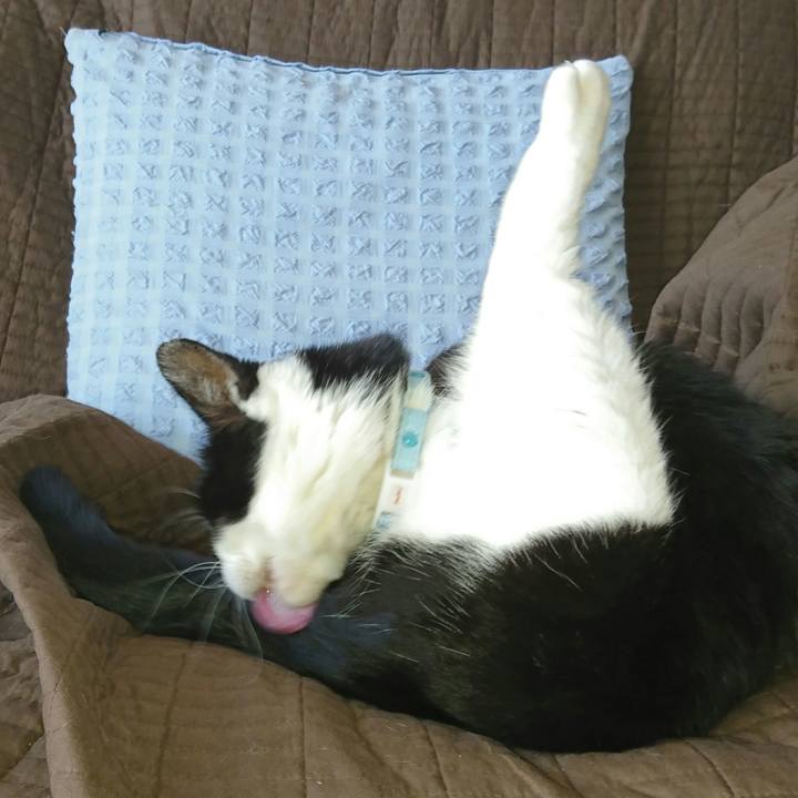 E5a200a3 8cfa 4a87 af3f 66dd4c0e8cef