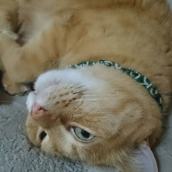 E5a25301 c0b8 4ade 9029 6be34292d342