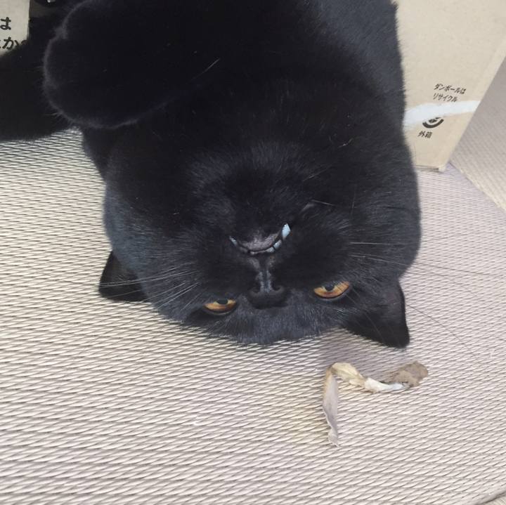 E5a25f51 74bb 47ae 9b8b ef0df8aca9bb