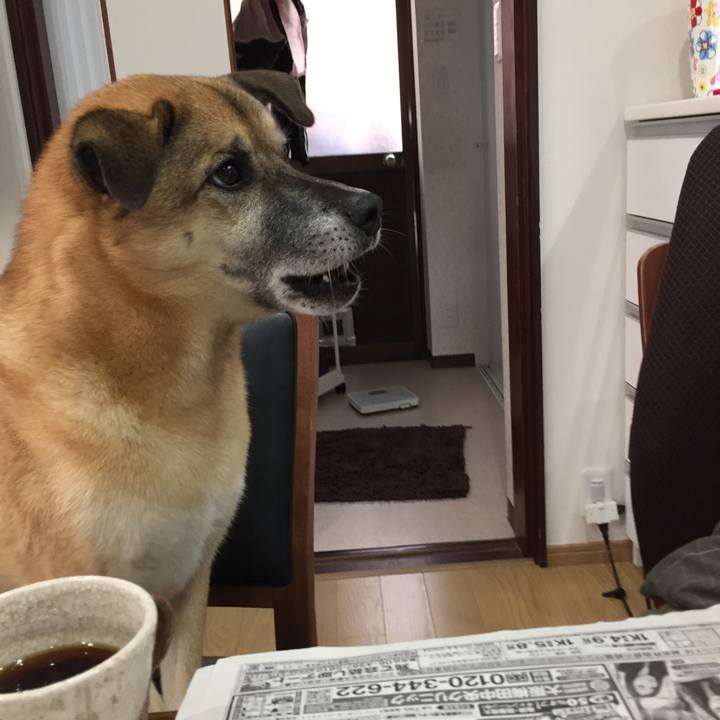 E5a262a4 04fb 4f0a 8c1b d50d3b5d6a0c