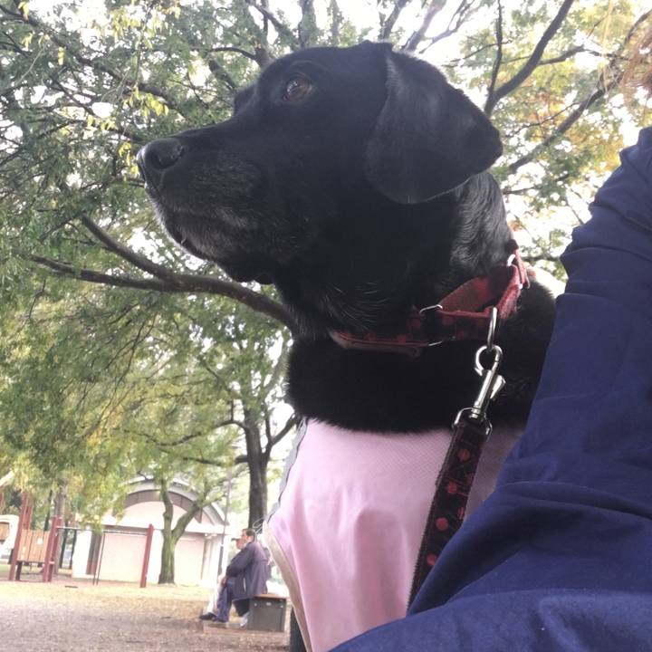 E5a31240 2801 433f 8459 49b4ce808ea0