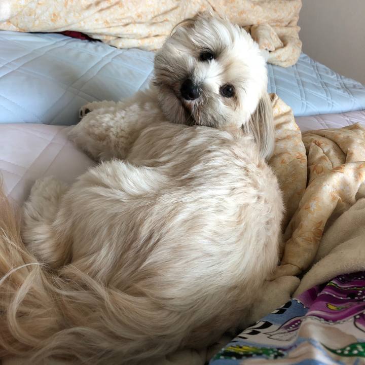 E5a33ab3 1a98 47e8 a229 5cebf0274bfb