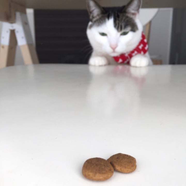 E5a34983 b120 4279 89a7 656482344bcb