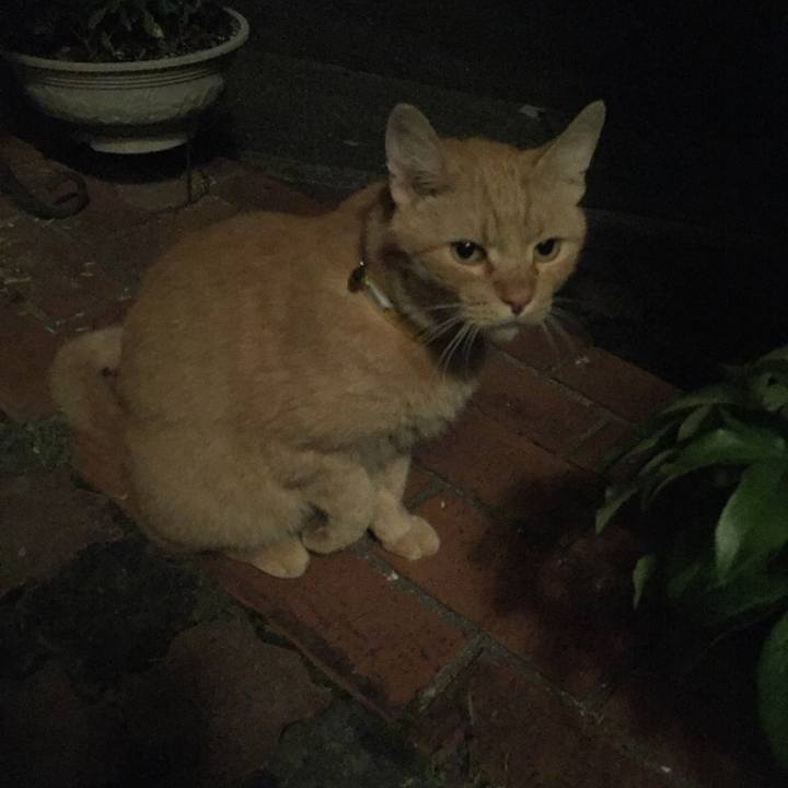 E5a34c7b fe63 4c40 a781 971c7ba55a99