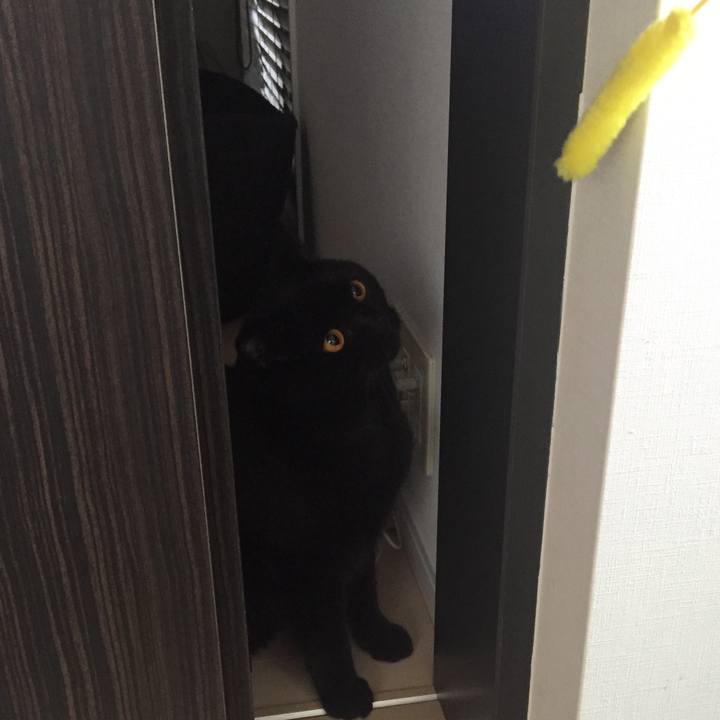 E5a3f504 2533 49de 836c 57ac4af83aa0