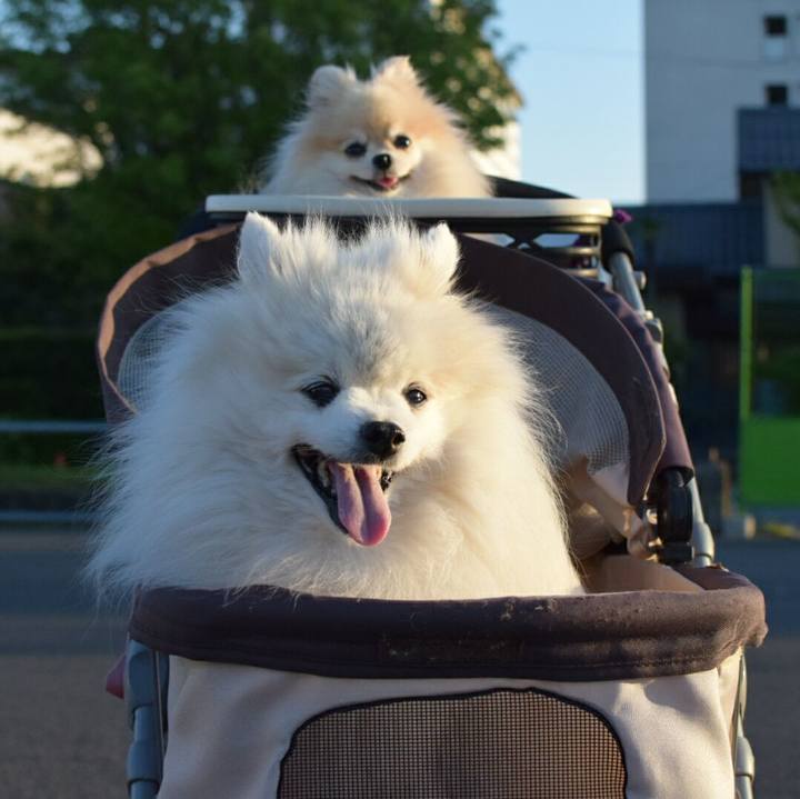 E5a41b66 41b4 4b09 9591 8e60d5481831