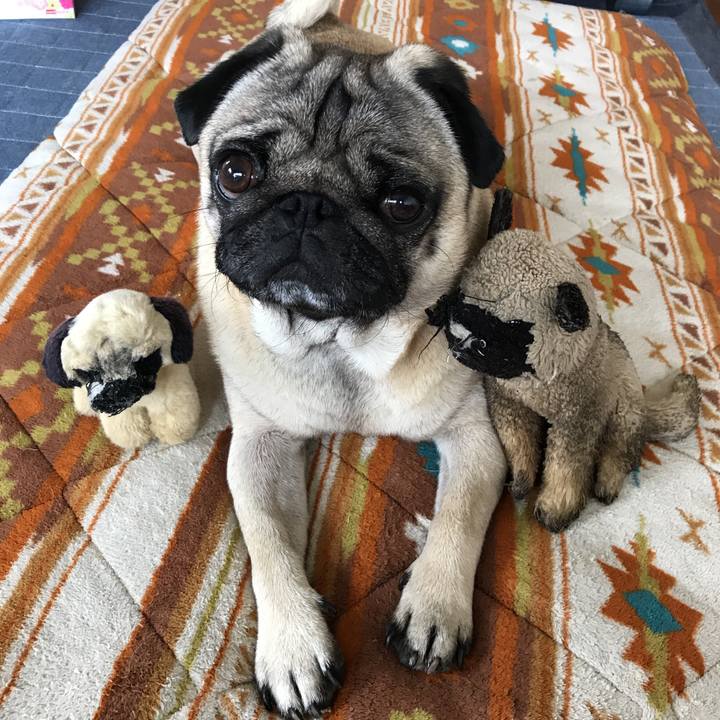 E5a486b7 01a1 480d 9791 aab1f8a4542a